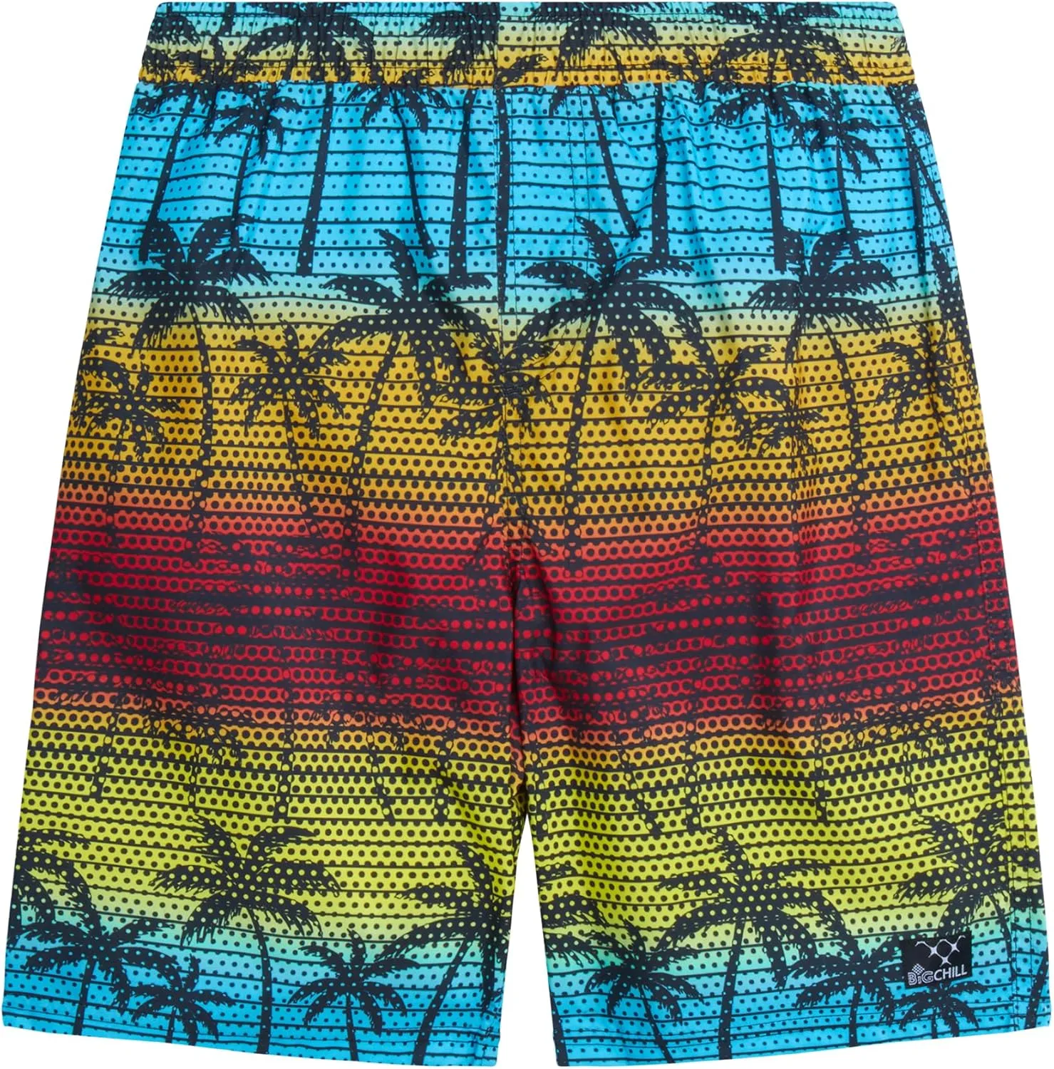 Big Chill Boys Rash Guard Set - 2 Piece UPF 50  Long Sleeve Swim Shirt and Bathing Suit Swim Trunks for Boys (Sizes: 4-14)