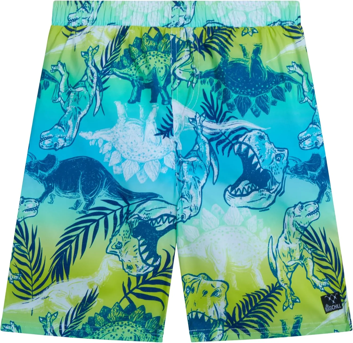 Big Chill Boys Rash Guard Set - 2 Piece UPF 50  Long Sleeve Swim Shirt and Bathing Suit Swim Trunks for Boys (Sizes: 4-14)