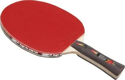 GKI Euro XX Table Tennis TT Racket