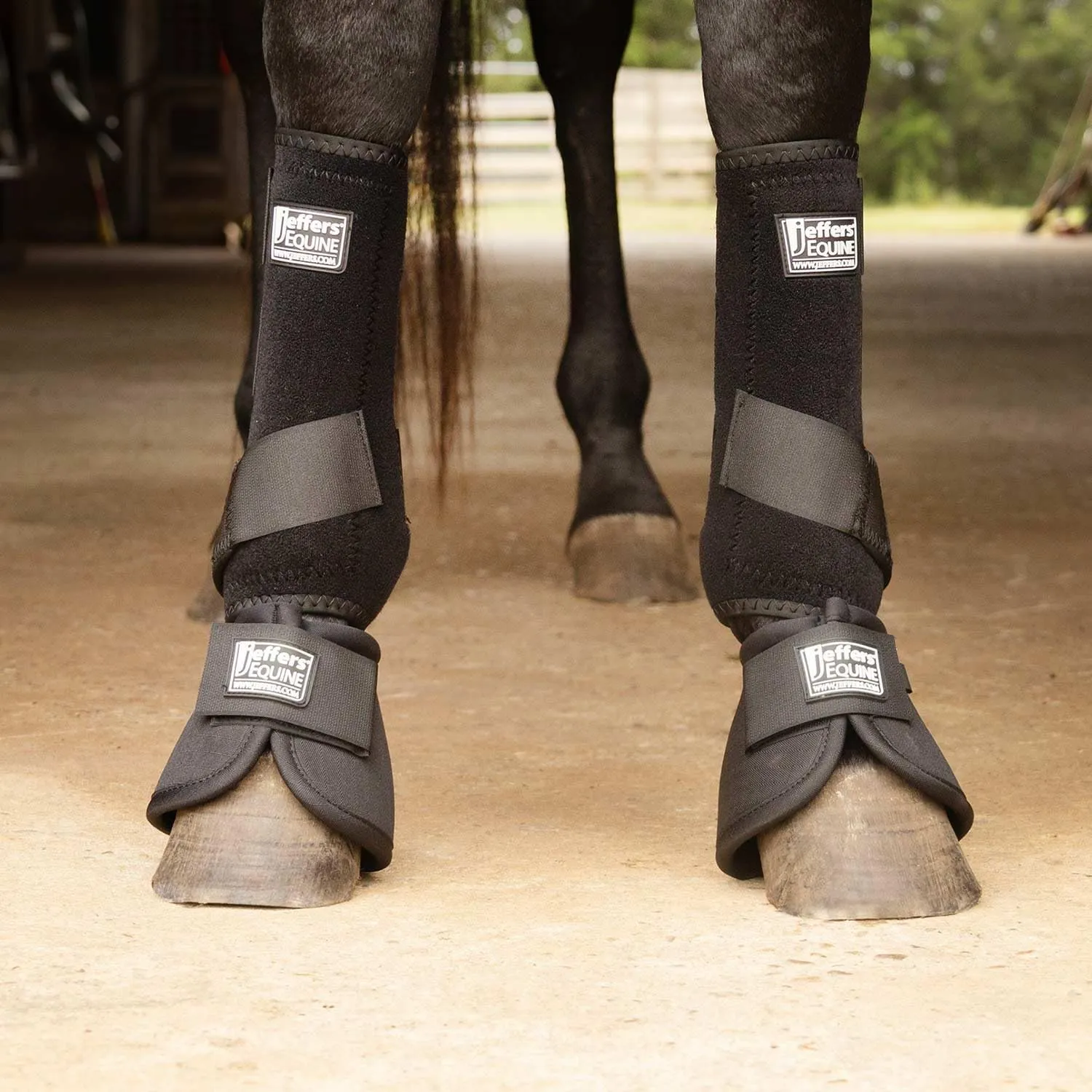 Jeffers Equine Protective Horse Boots Black, Medium - Safe Neoprene Leg Guards & Comfortable Fit, Durable Velcro Straps, Front & Hind Support, Equestrian Accessories for Training, Travel & Riding