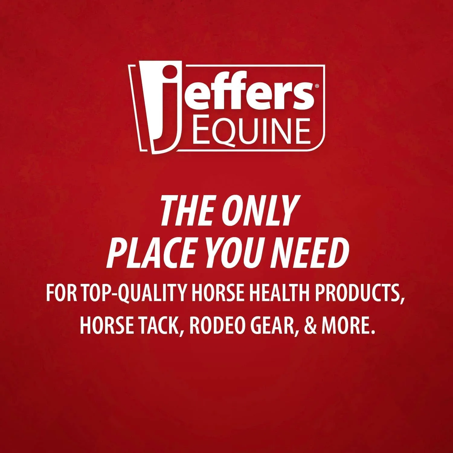 Jeffers Equine Protective Horse Boots Black, Medium - Safe Neoprene Leg Guards & Comfortable Fit, Durable Velcro Straps, Front & Hind Support, Equestrian Accessories for Training, Travel & Riding