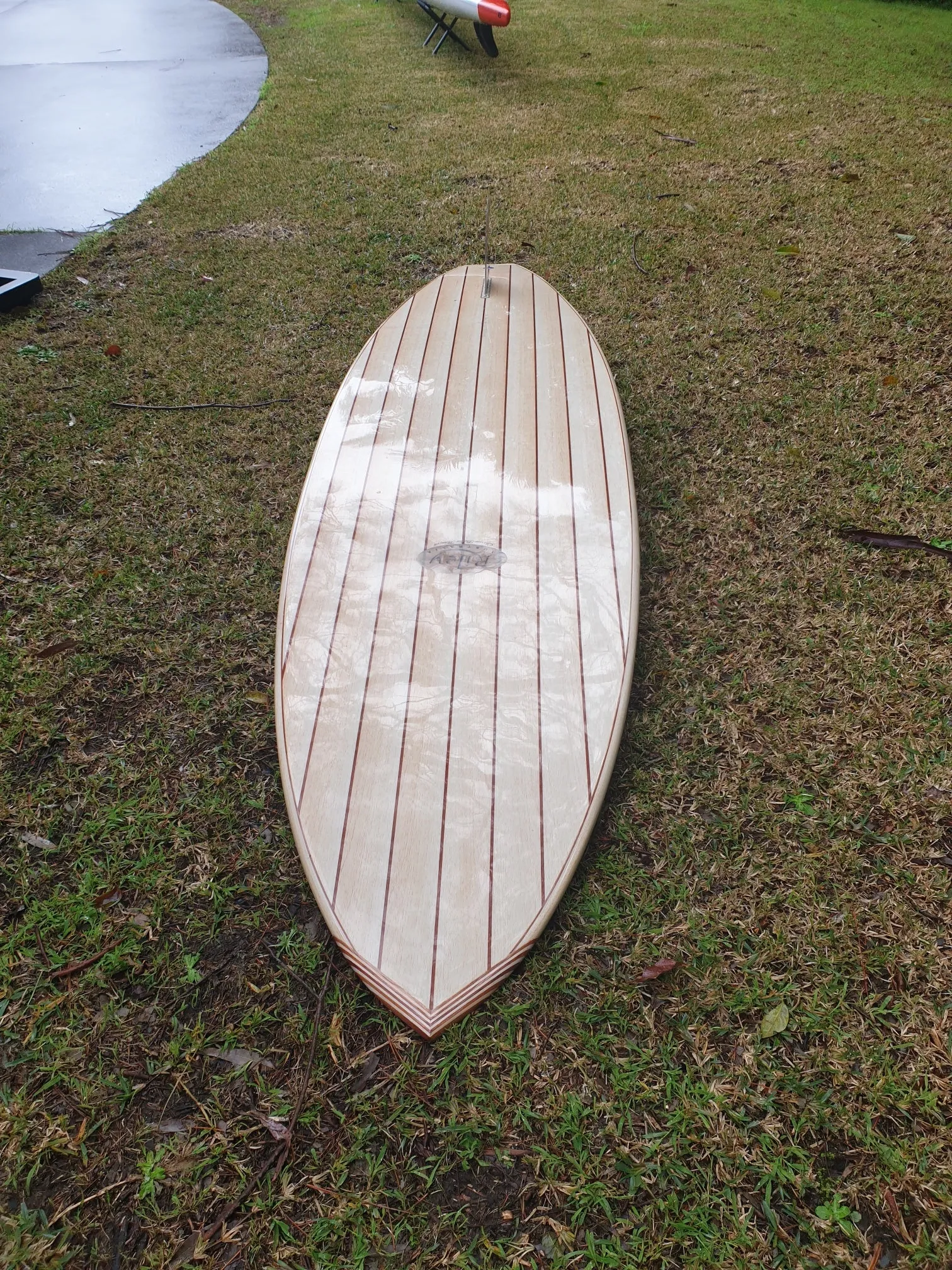 Stand Up Paddle Boards or SUPS