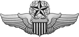 USAF Command Pilot Wings Decal - Veteran Owned Business